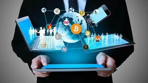 website design development